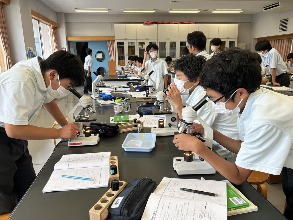 中学1年生　「花粉管の観察」