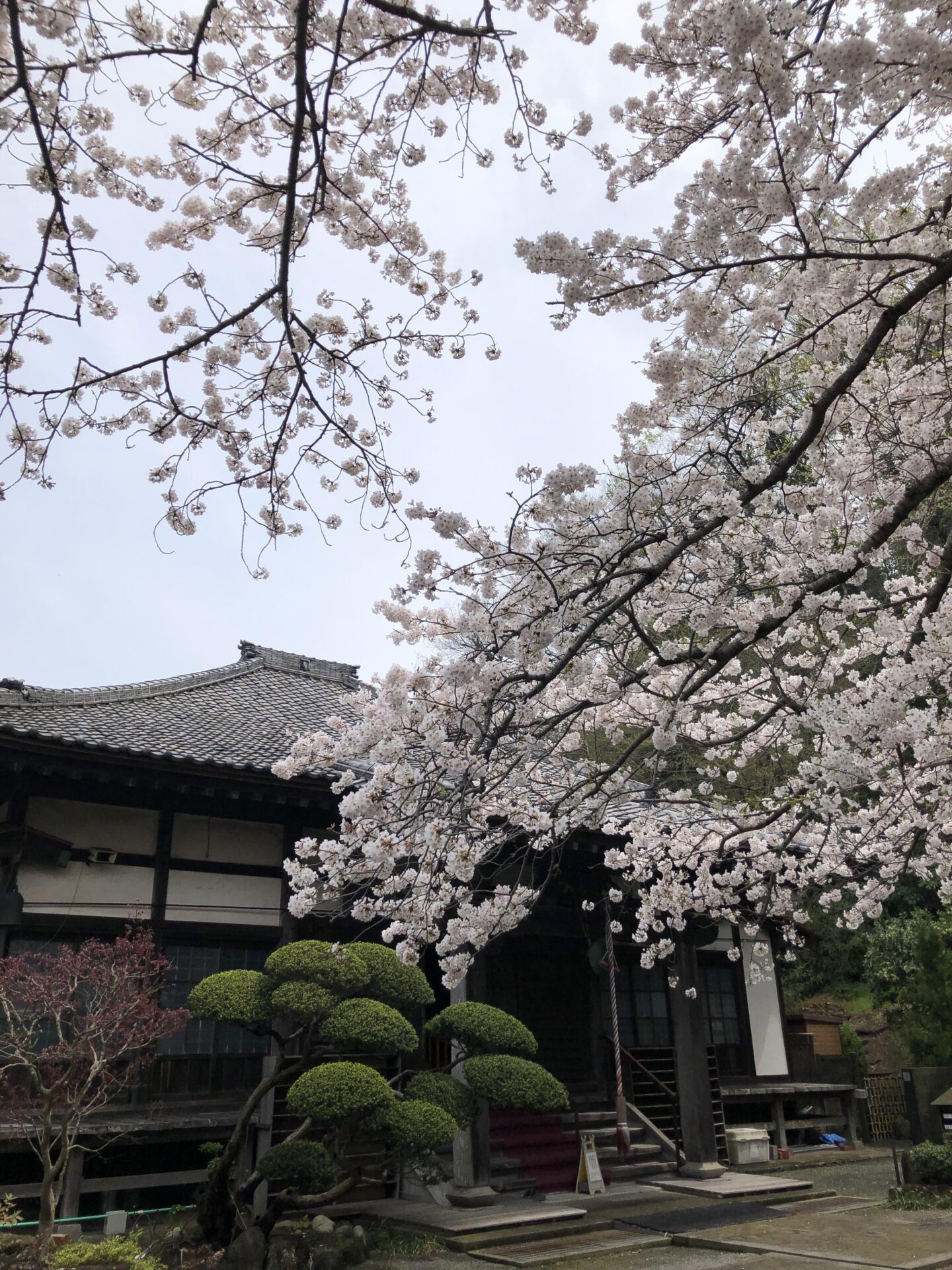 【松坡文庫研究会】田辺松坡「壬子晩春游東昌寺有感」