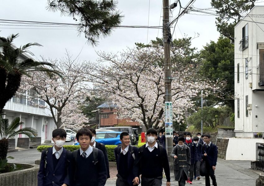 桜ももうすぐ満開となる４月６日、中１高１以外の生徒にとって、本日が2024年度最初の登校日となります。